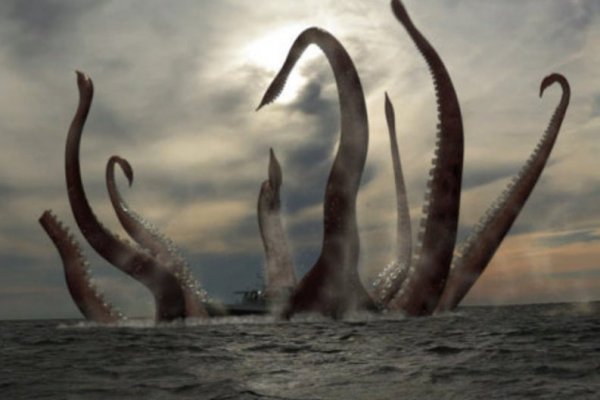 Kraken даркнет переходник