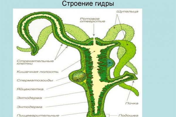 Как сделать заказ на кракен