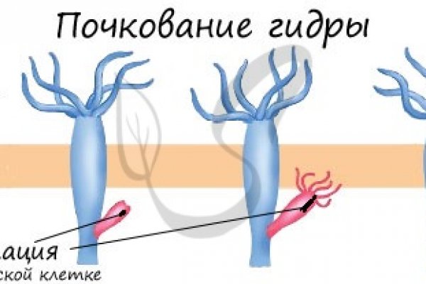 Как найти сайт кракен