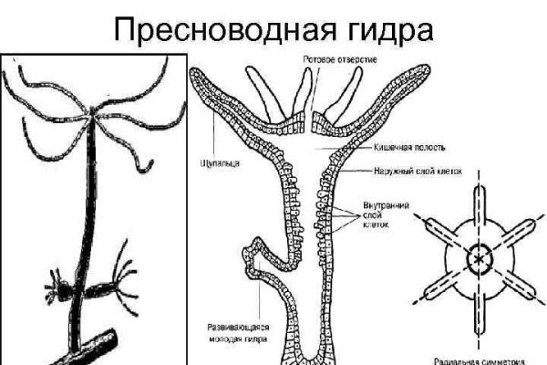 Kraken ссылка kraken014 com